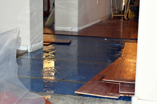 Professional Burst Pipe Cleanup technician working in Stayton, OR